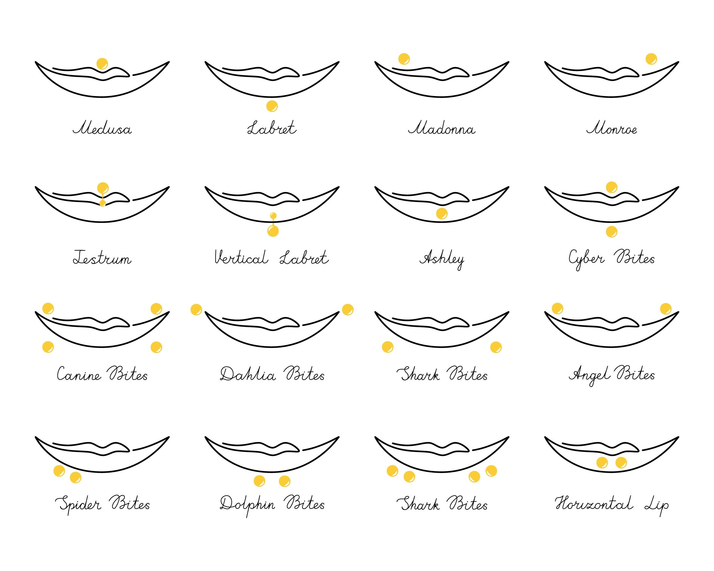 Kinds Of Lip Piercings Names Infoupdate
